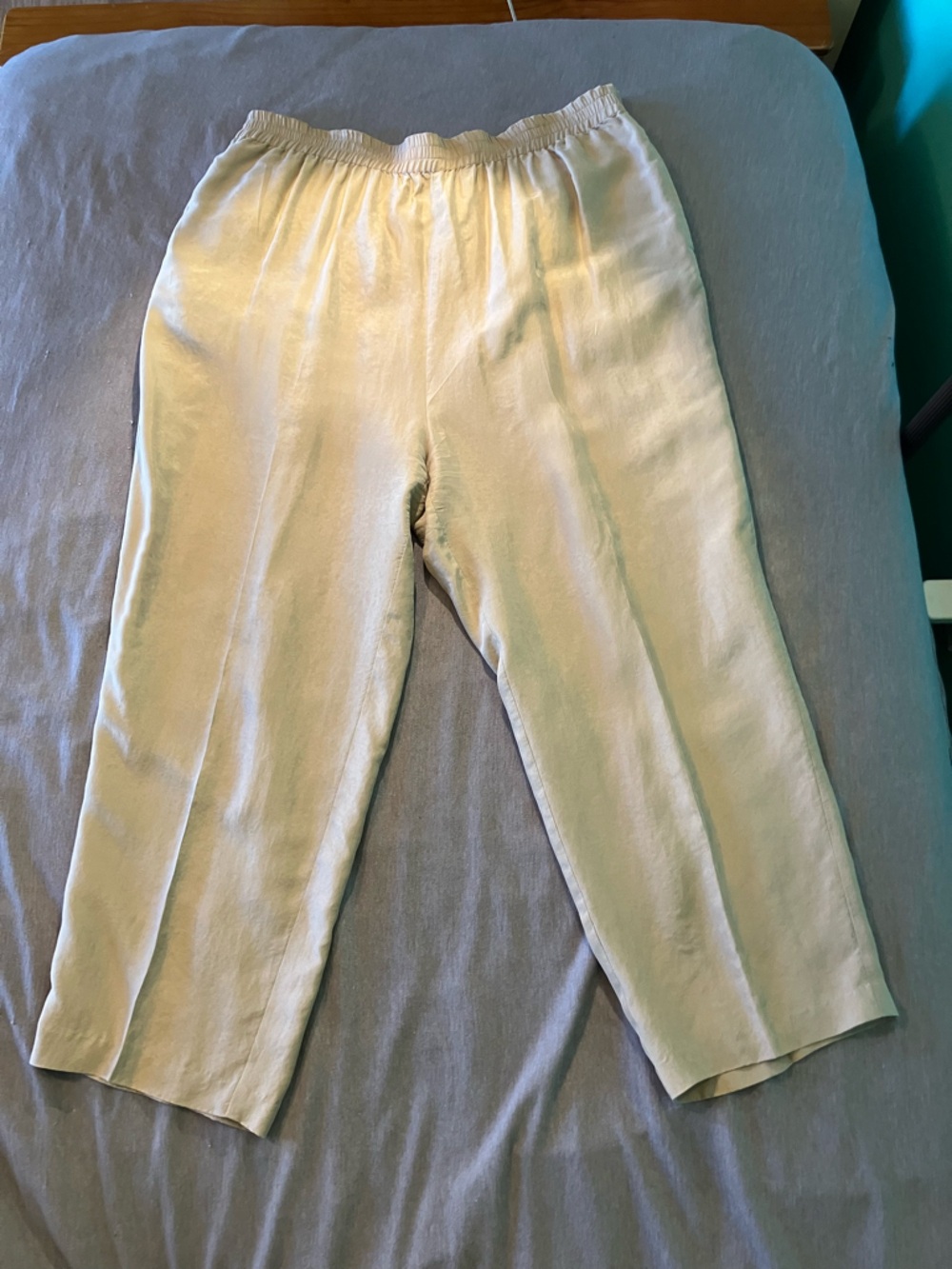 Beige Elastic Waist 100% Silk Pull-On Pants